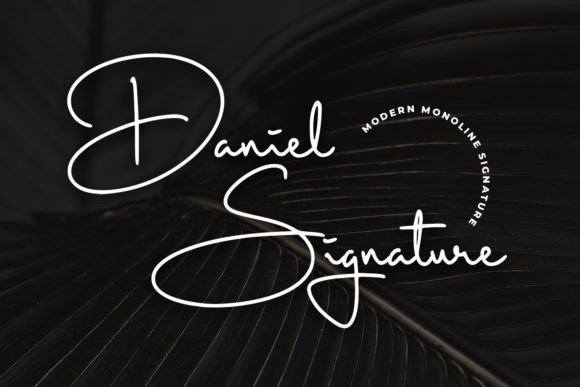 Daniel Signature: A Designer’s Real-World Review