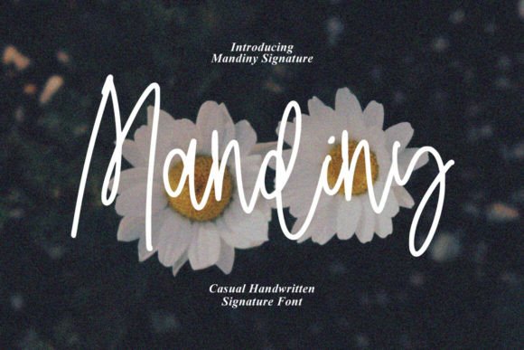 Mandiny Font: Handmade Charm for Invitations & Labels