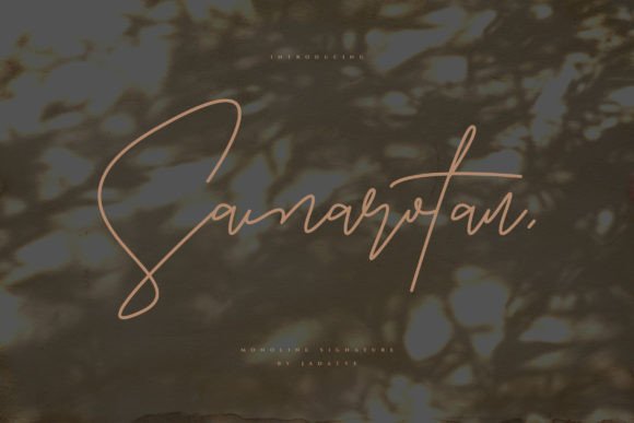 Samarotan: A Monoline Script Font That Feels Like It Was Made for Real Branding