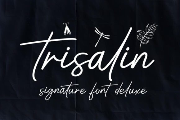 Trisalin: A Thoughtful Script Font for Editorial Warmth